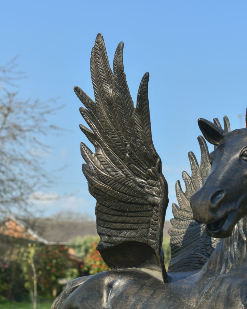 Wing From The pegasus Sculpture 