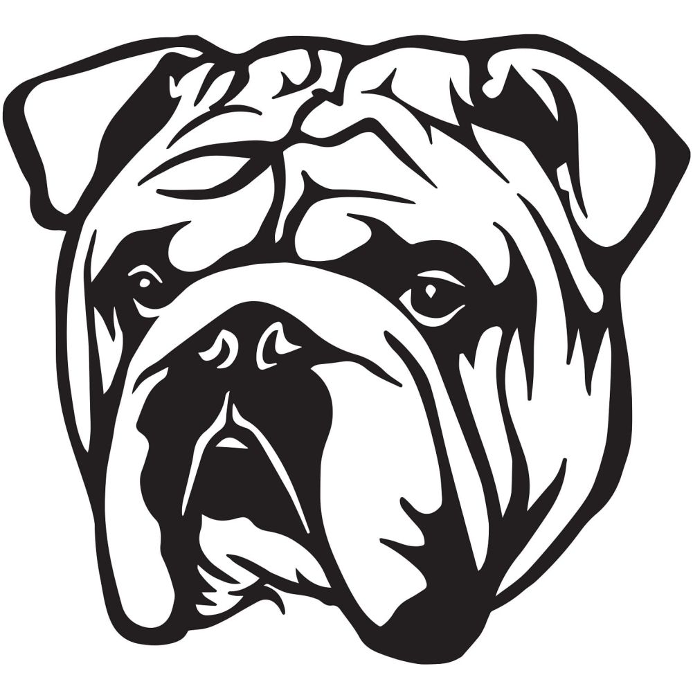 Bulldog Wall Art on white 
