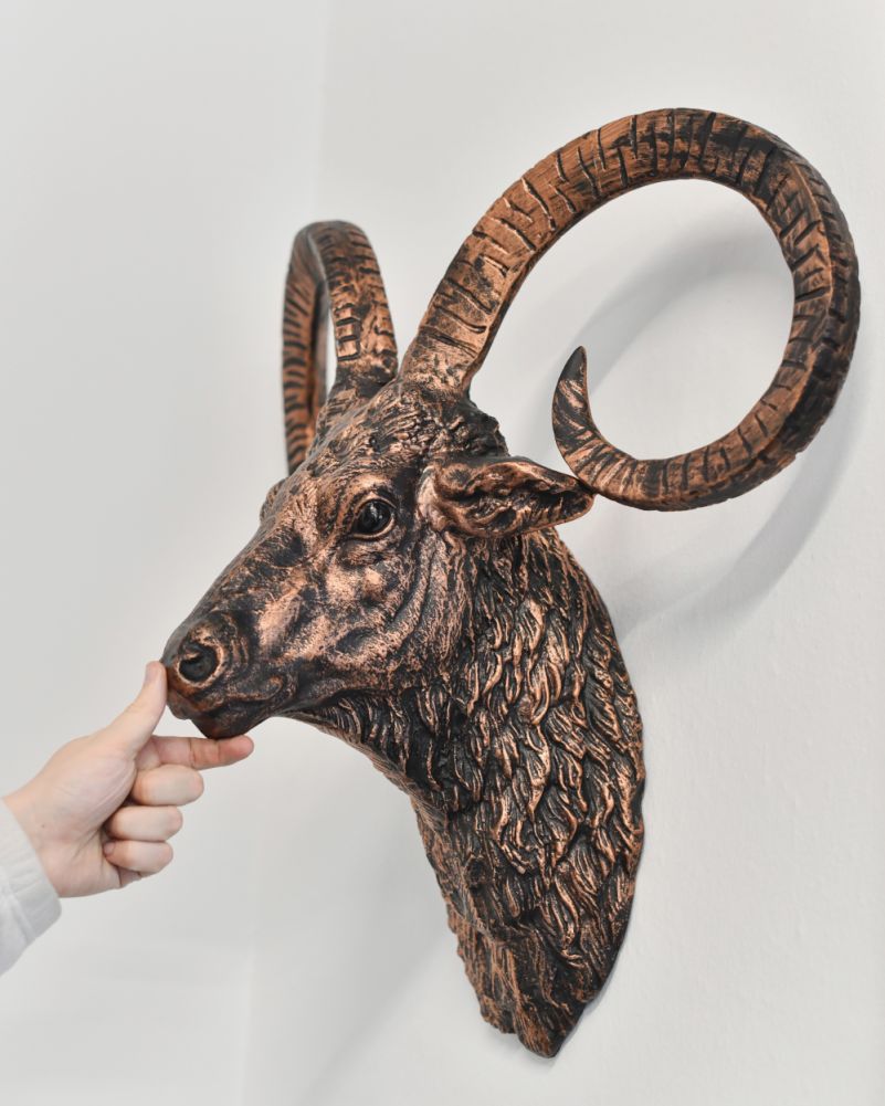 Cast Aluminium Bronze & Copper Mouflon Bust To Scale