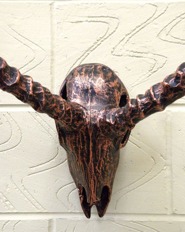 Cast Aluminium Copper Skull Home Ornament - Addax Up Close