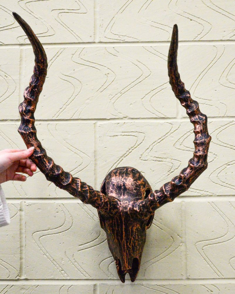 Cast Aluminium Copper Skull Home Ornament - Addax To Scale