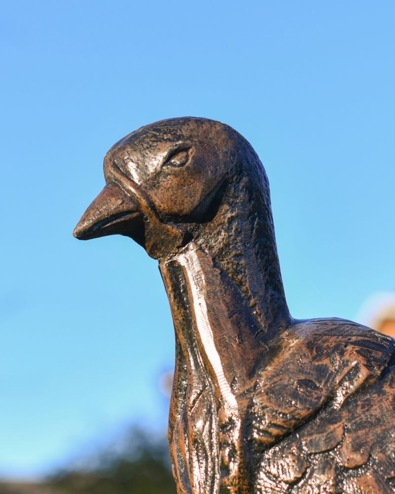 Cast Aluminium Feathers The Turkey Bronze Garden Sculpture Face