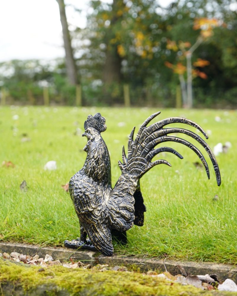 Cast Aluminium Robert Rooster Brushed Gold Sculpture Back