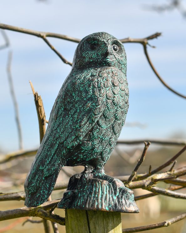 Cast Aluminium Verdigris Owl Sculpture Outdoors