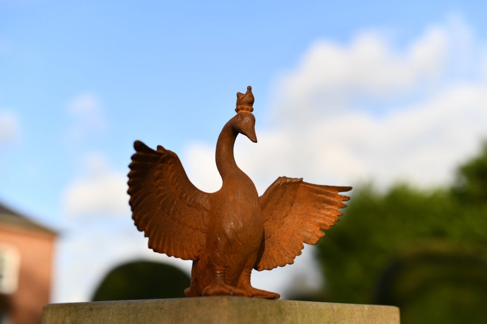Goose wings