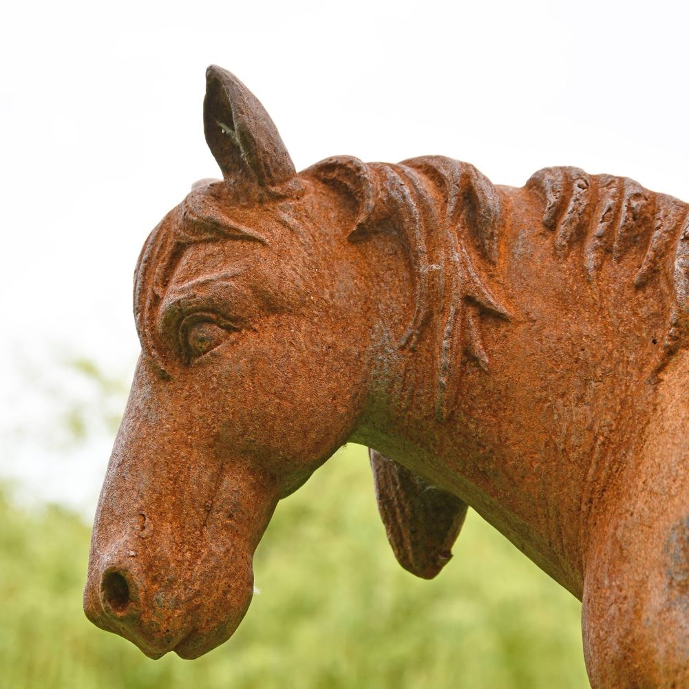 Side View of the Head of the Cast Iron Miniature Pony Sculpture