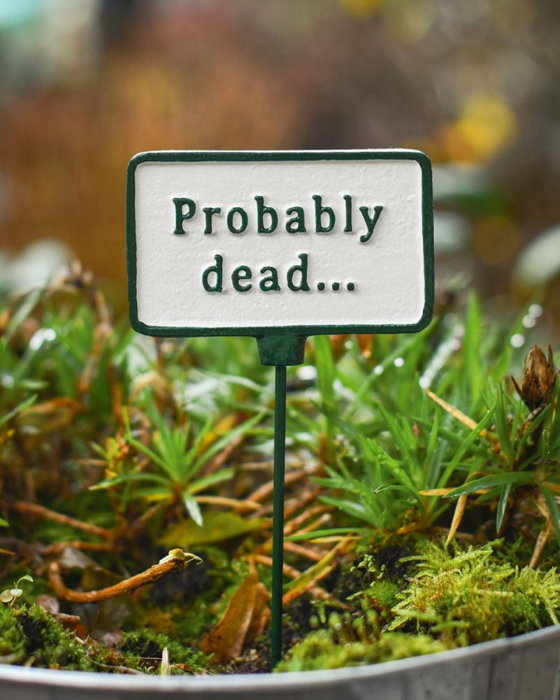 Cast Iron 'Probably Dead' Humorous Plant Pot Spike