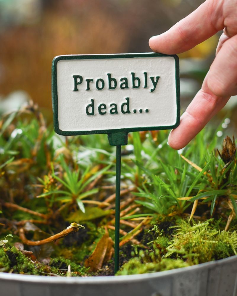 Cast Iron 'Probably Dead' Humorous Plant Pot Spike Scale