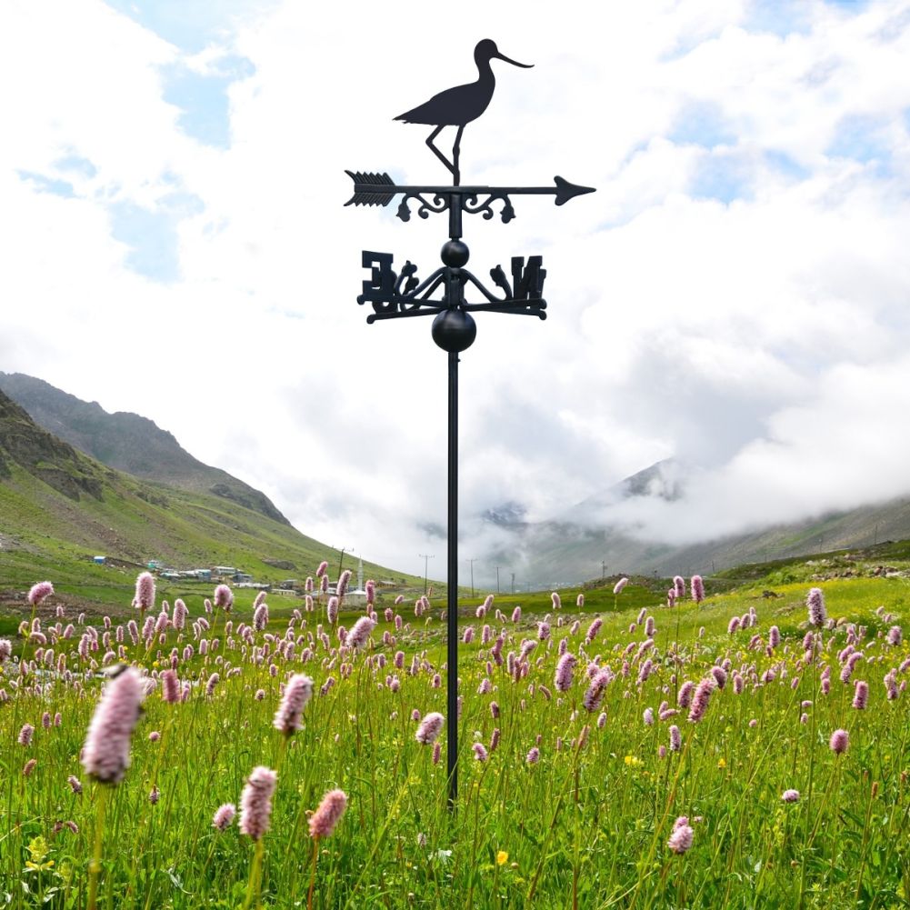 Cast Iron & Steel Avocet Bird Free Standing Weathervane in a lavender field 