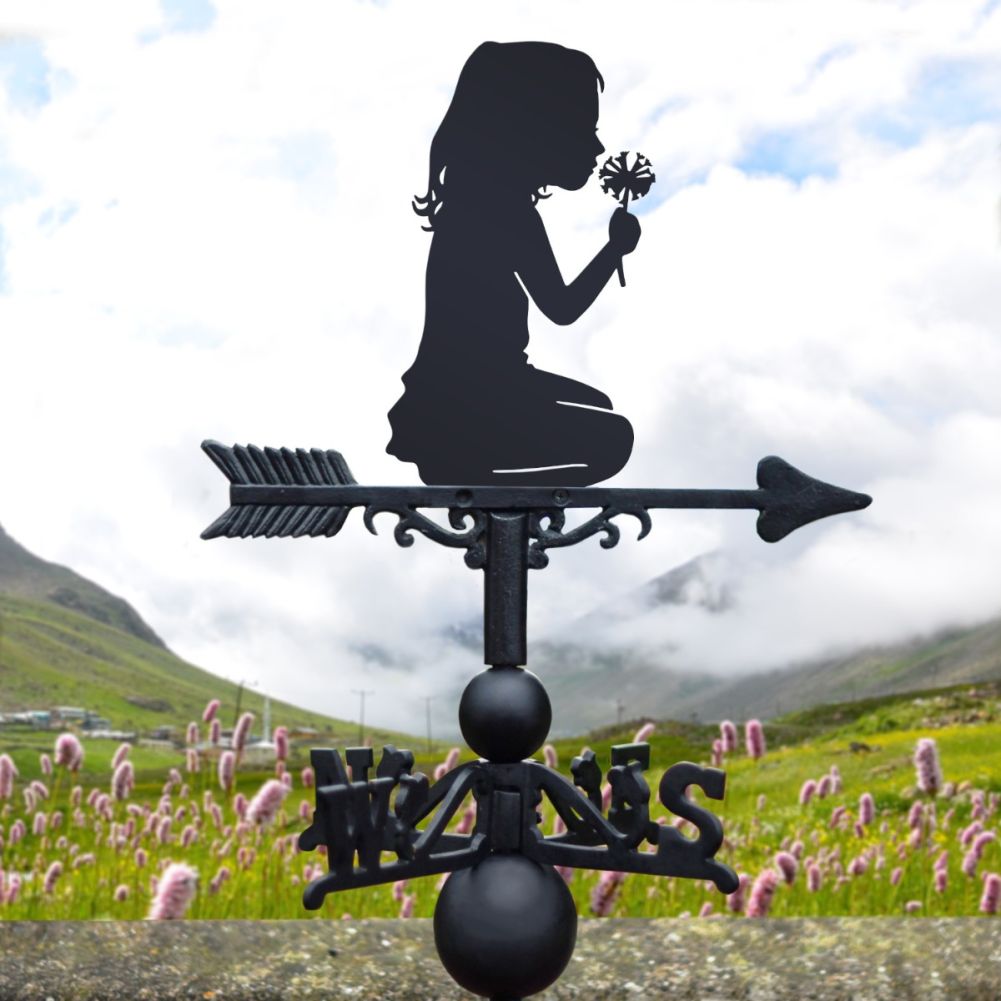 Cast Iron & Steel Child Silhouette Weathervane in a Countryside Setting