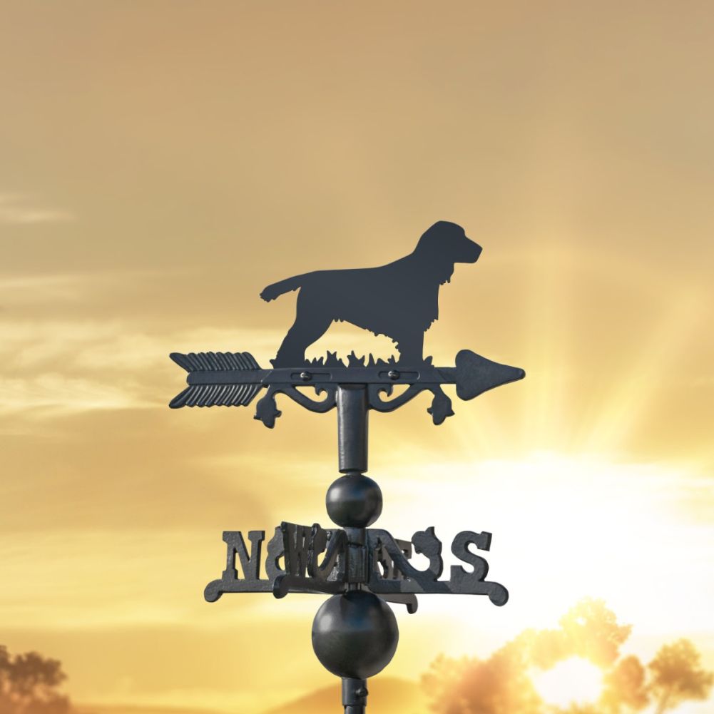 Cast Iron & Steel Cocker Spaniel Miniature Weathervane In A Sunset Setting