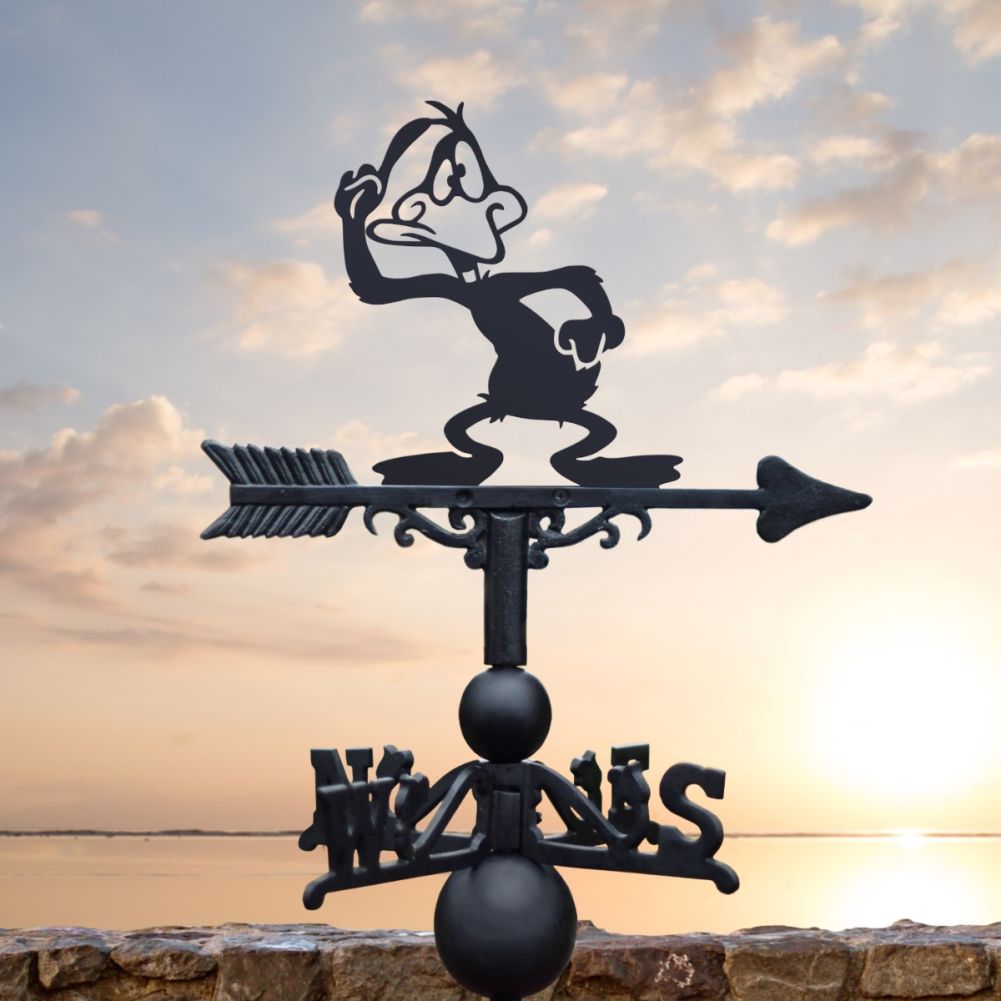 Cast Iron & Steel Cross-Eyed Duck Weathervane In A Harbour Setting