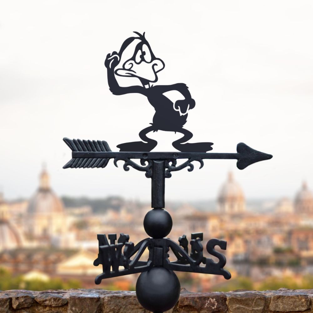 Cast Iron & Steel Cross-Eyed Duck Weathervane In A Town Setting