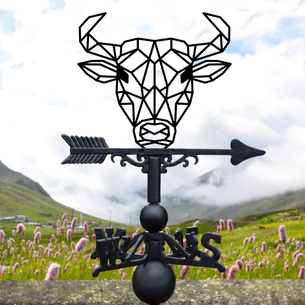 Cast Iron & Steel Geometric Bull Weathervane In A Valley Setting