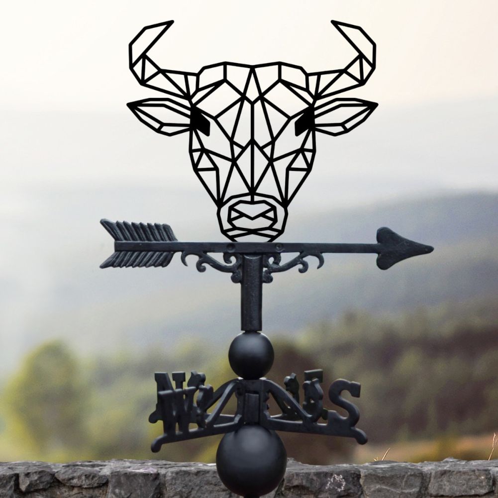 Cast Iron & Steel Geometric Bull Weathervane In A Countryside Setting