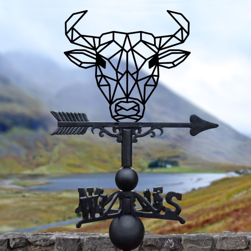 Cast Iron & Steel Geometric Bull Weathervane In Front Of A Lake