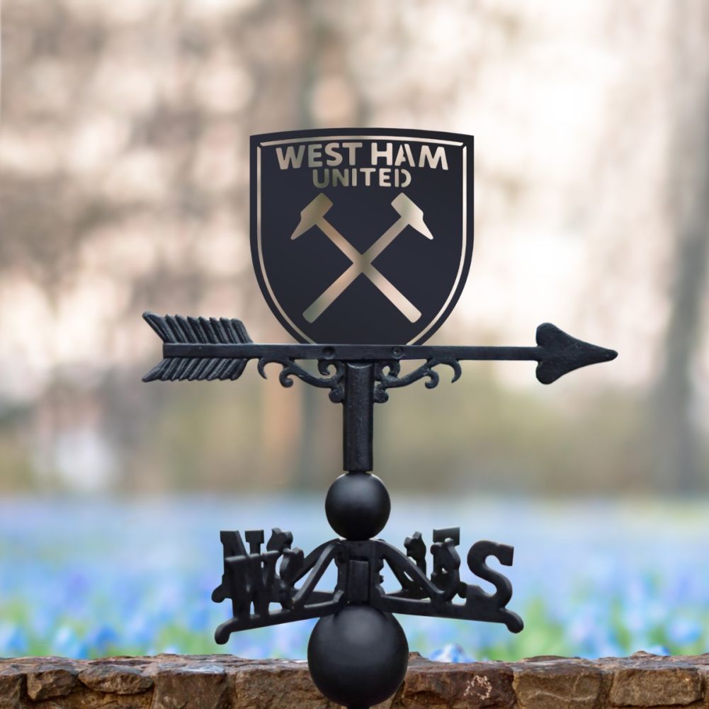 Cast Iron & Steel Hammers Weathervane In A Wild Flower Setting