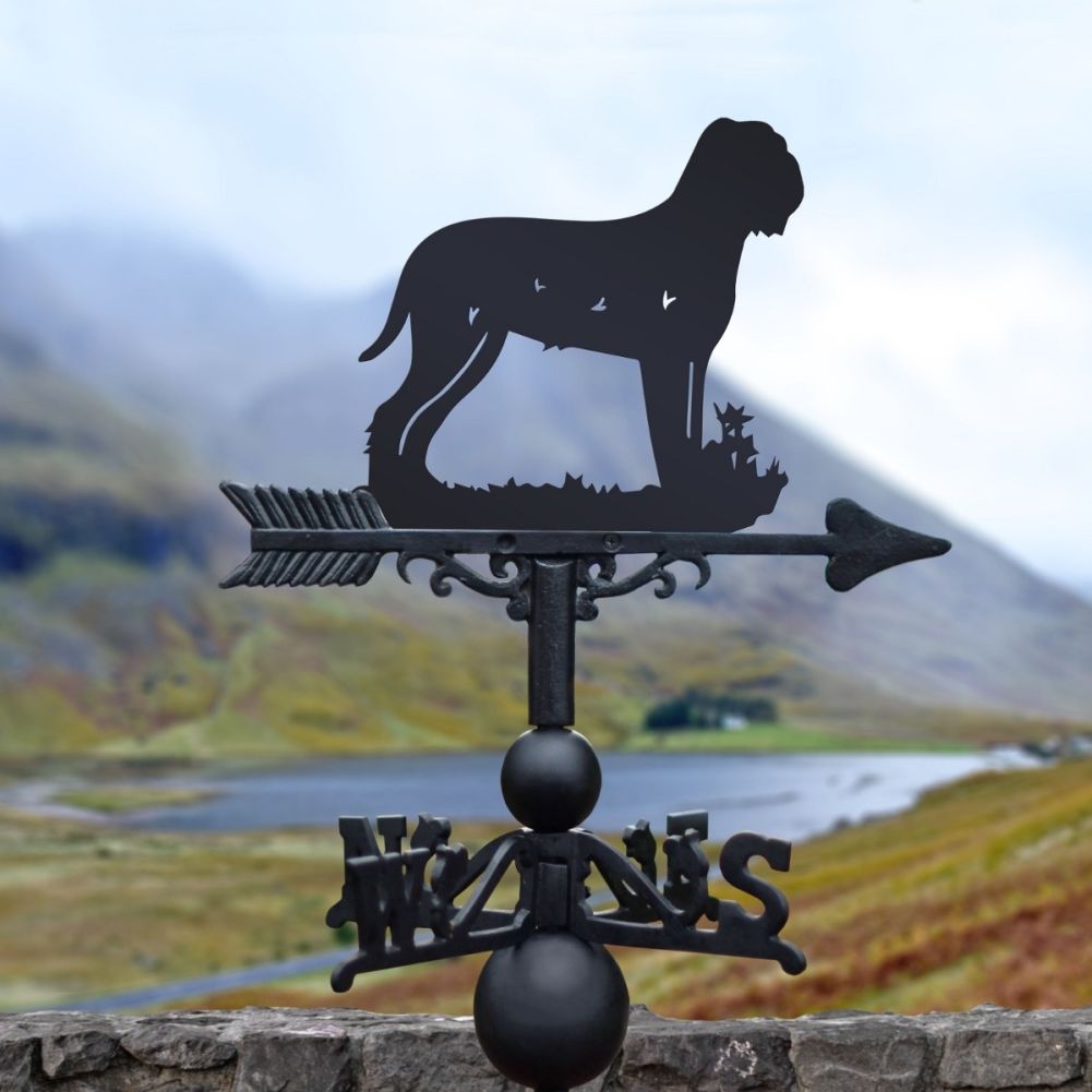 Cast Iron & Steel Lagotto Romagnolo Dog Weathervane in a lake background 