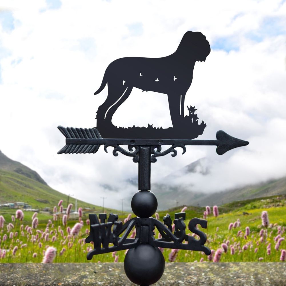 Cast Iron & Steel Lagotto Romagnolo Dog Weathervane in a lavender field 