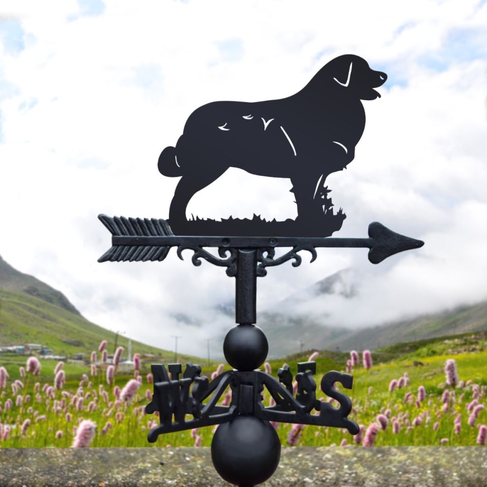 Cast Iron & Steel Leonberger Dog Weathervane In A Valley Setting
