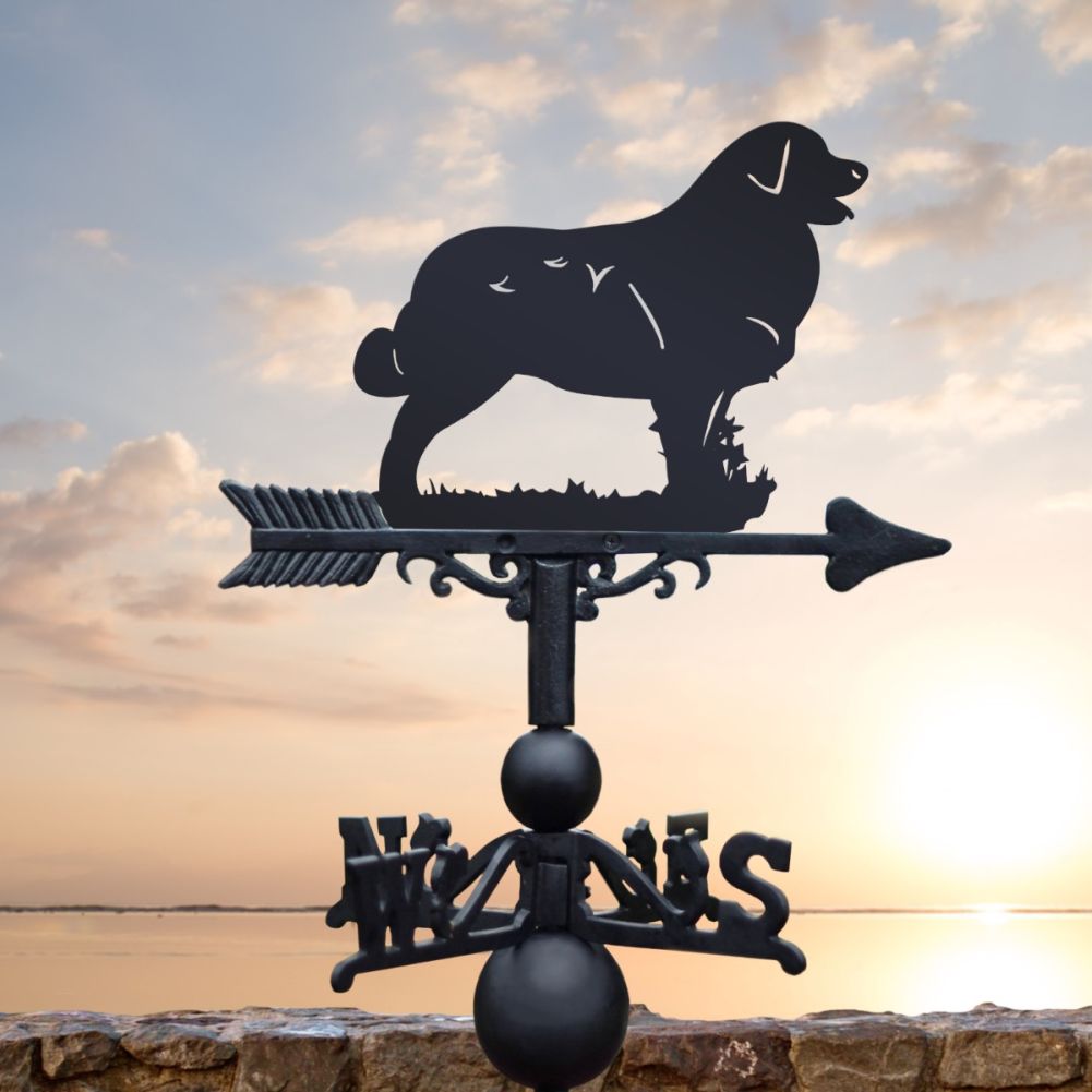Cast Iron & Steel Leonberger Dog Weathervane In Situ