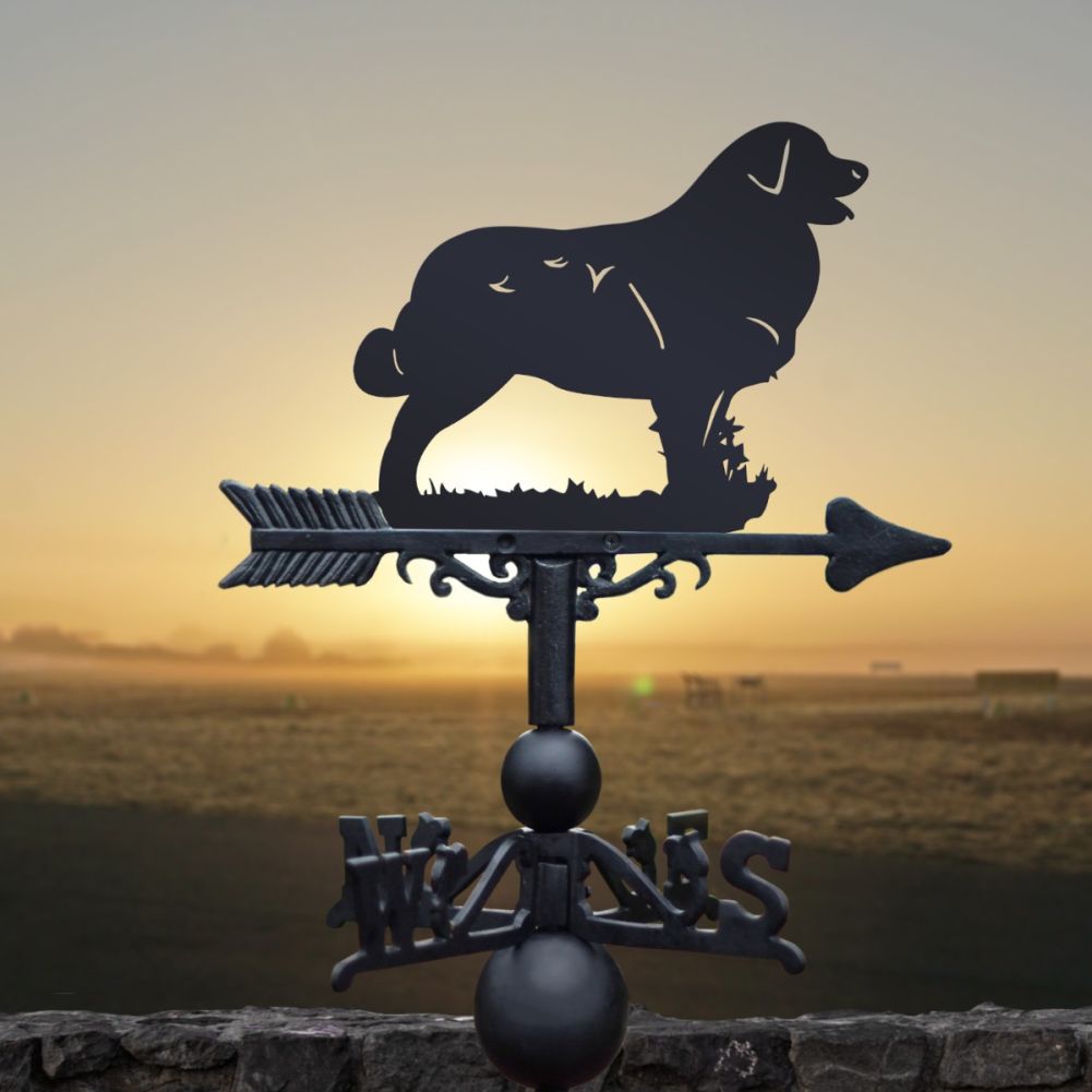 Cast Iron & Steel Leonberger Dog Weathervane In A Sunset Setting