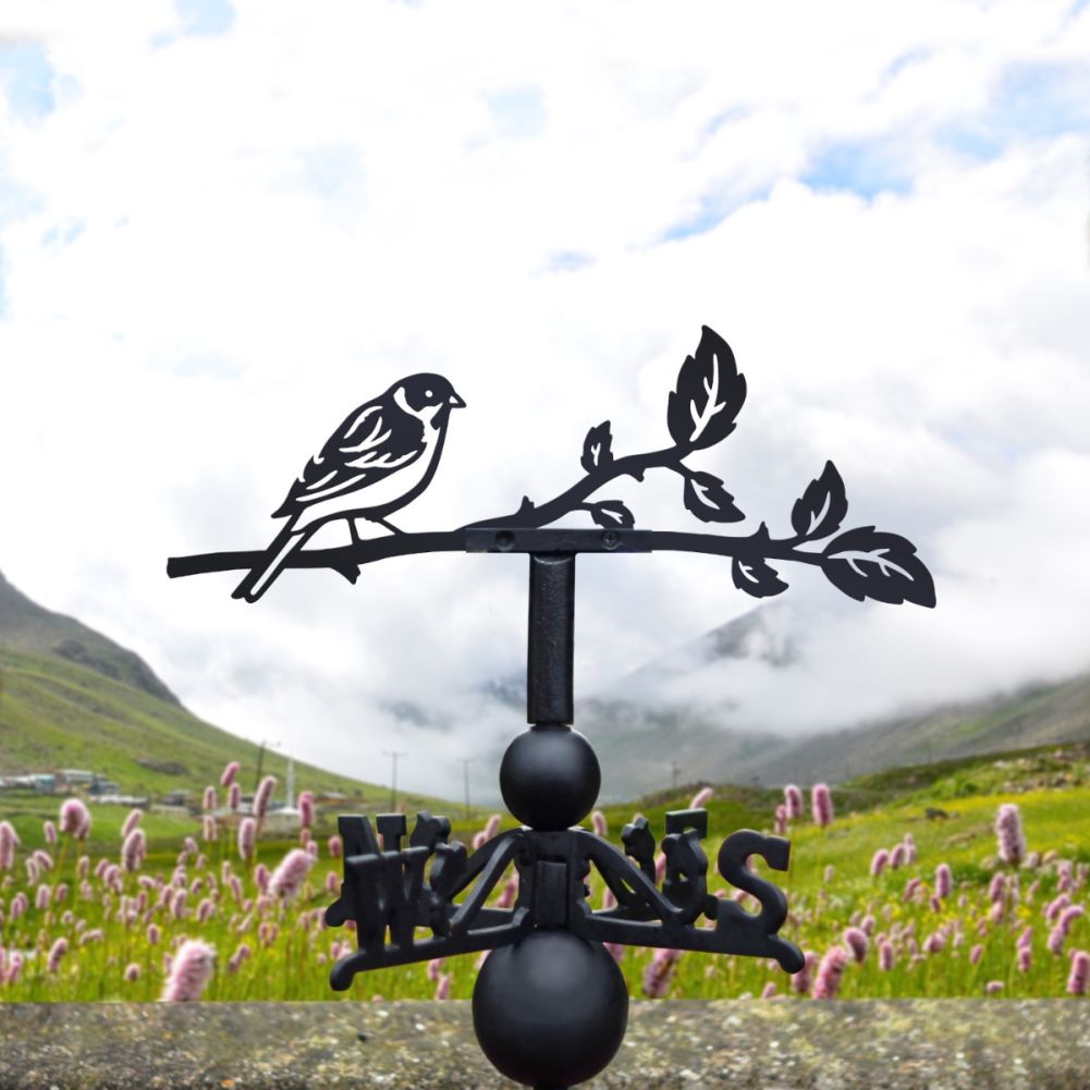 Cast Iron & Steel Reed Bunting Weathervane In Situ