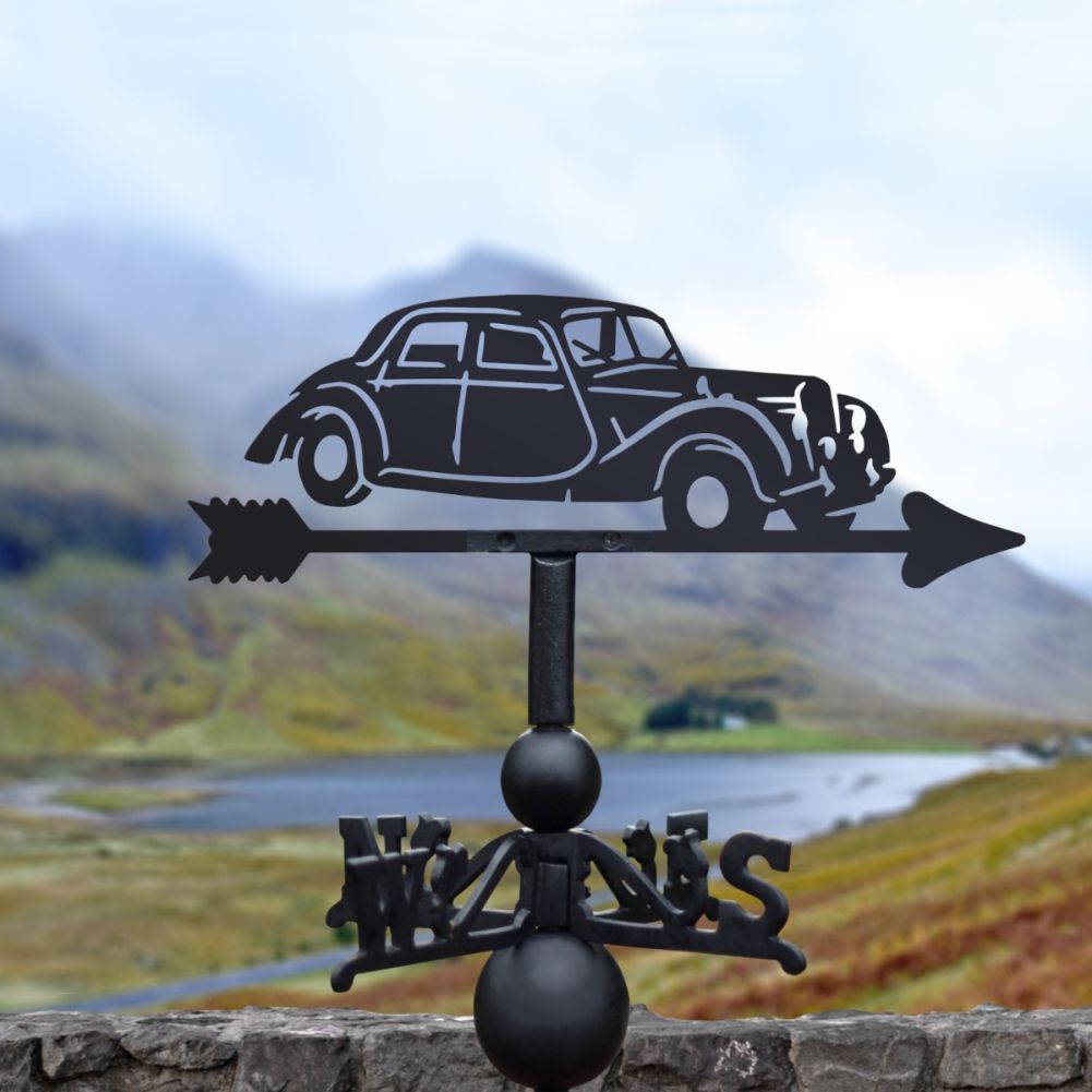 Cast Iron & Steel Riley Weathervane In A Countryside Setting