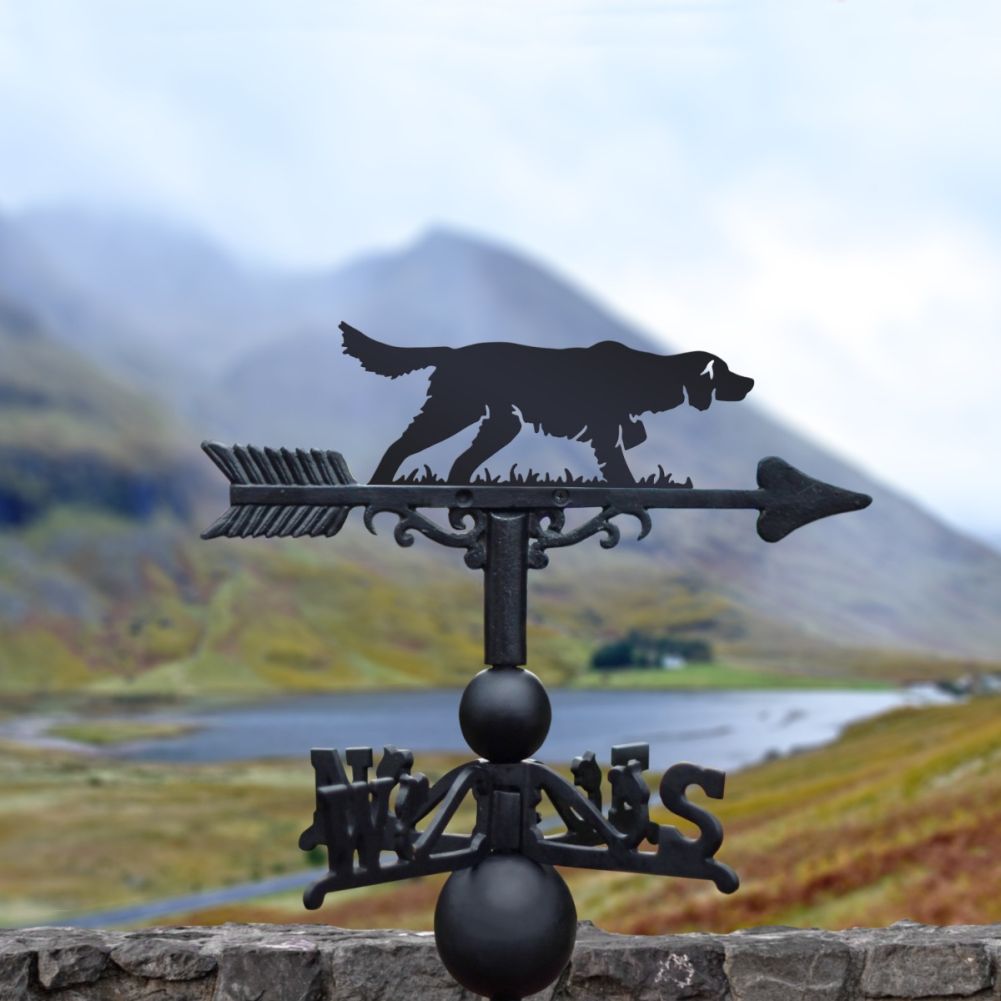 Cast Iron & Steel Running Irish Setter Weathervane In A Valley Setting