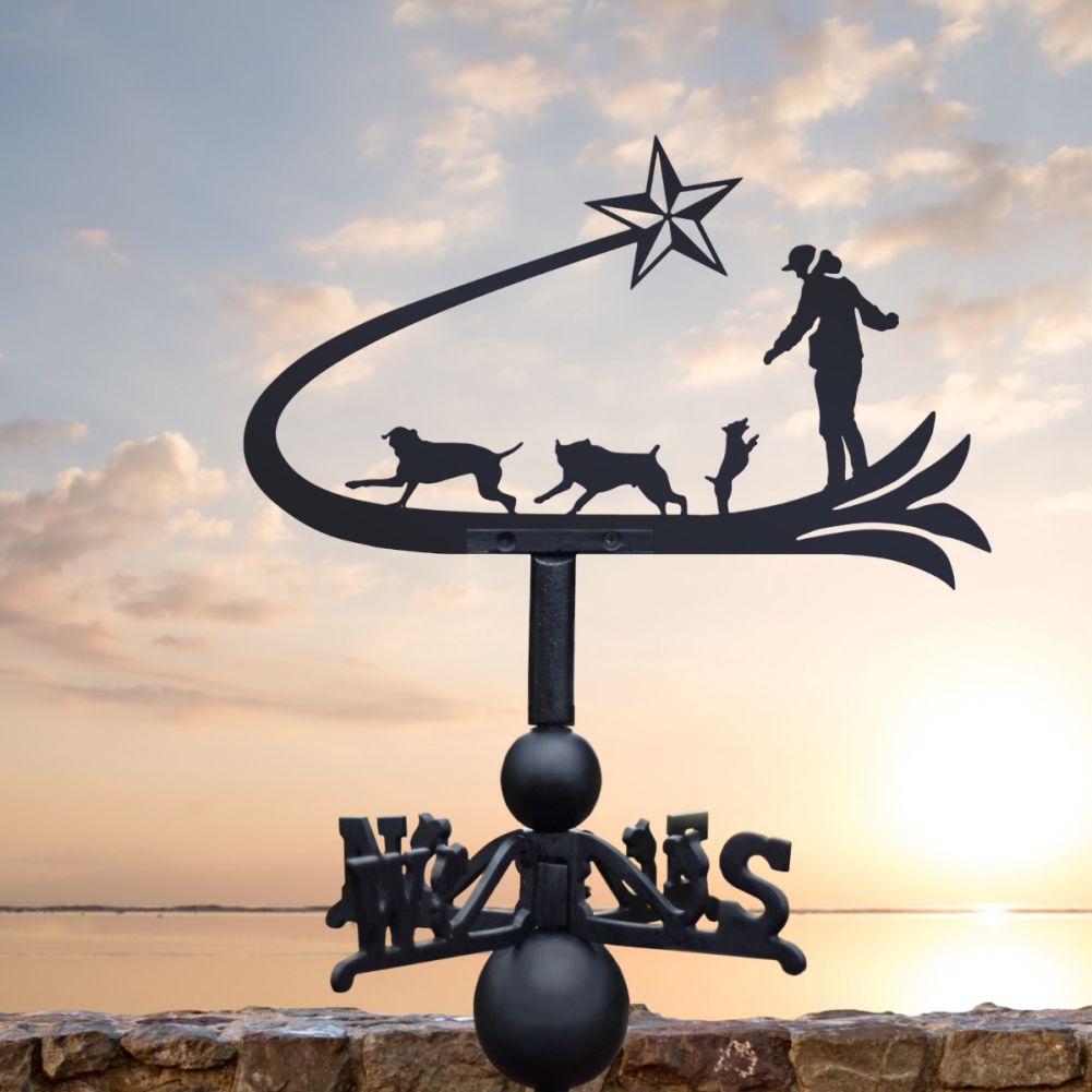 Cast Iron & Steel Shooting Star & Dogs Weathervane In A Sea Front Setting