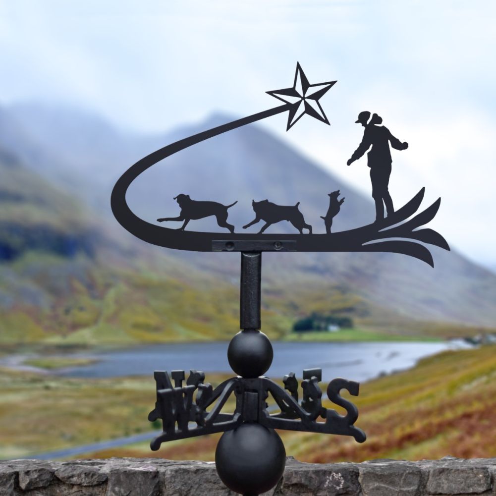 Cast Iron & Steel Shooting Star & Dogs Weathervane In A Valley Setting
