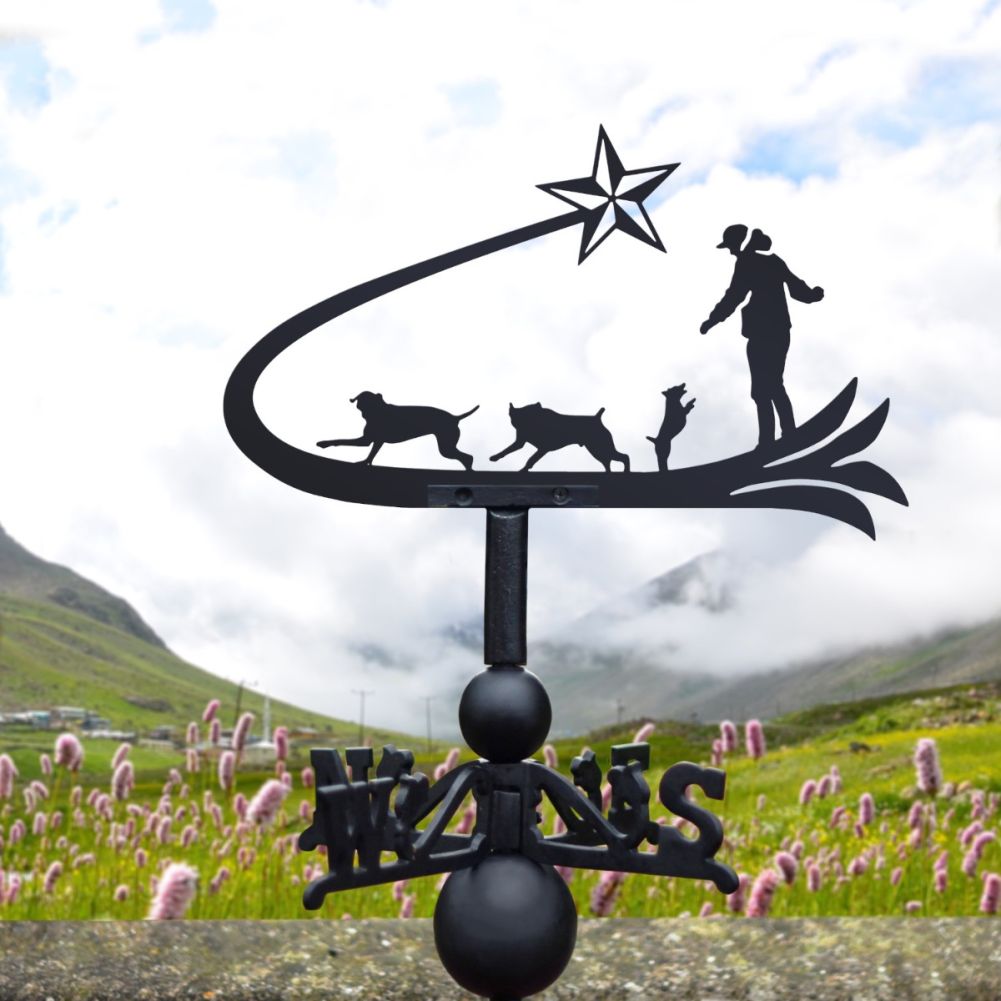 Cast Iron & Steel Shooting Star & Dogs Weathervane In A Countryside Setting
