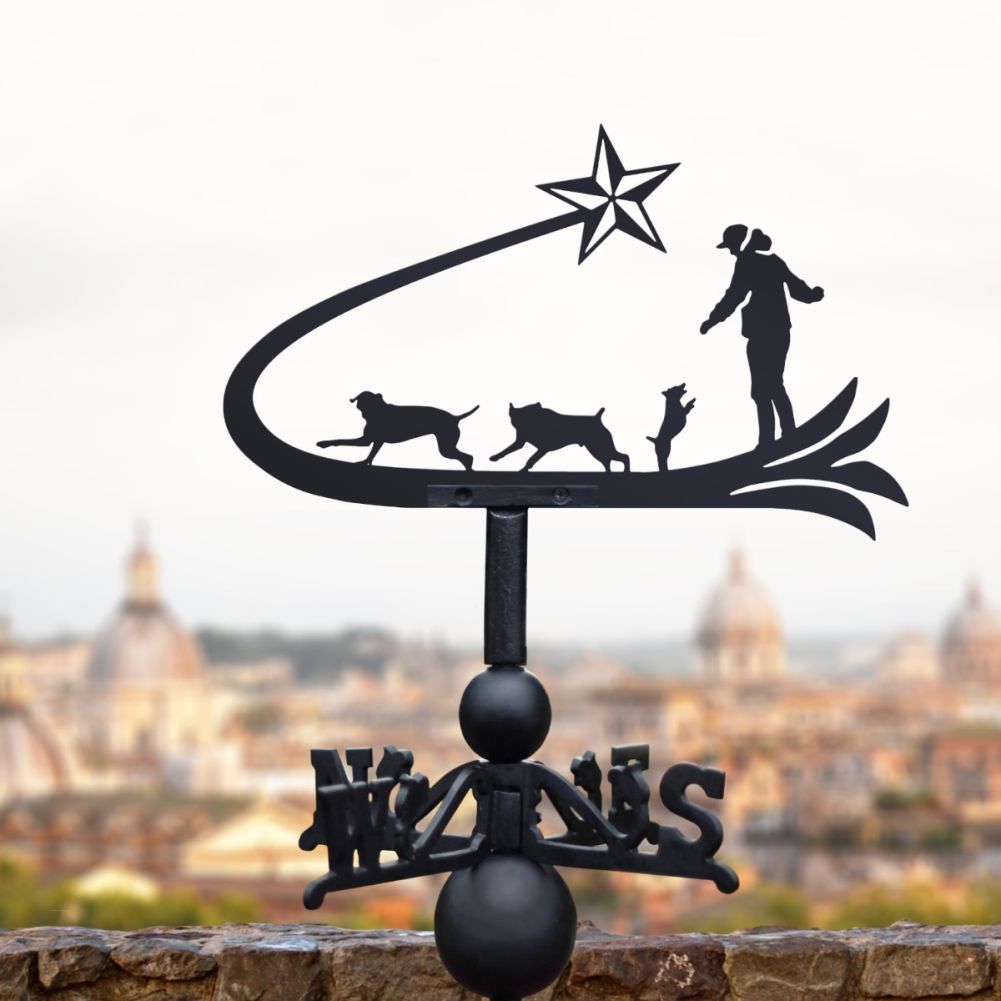 Cast Iron & Steel Shooting Star & Dogs Weathervane In A City Setting