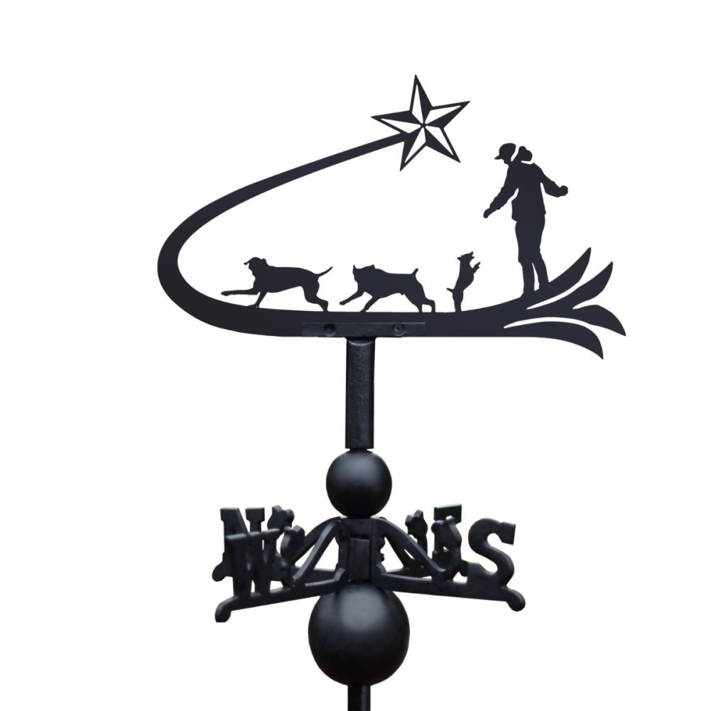 Cast Iron & Steel Shooting Star & Dogs Weathervane Topper