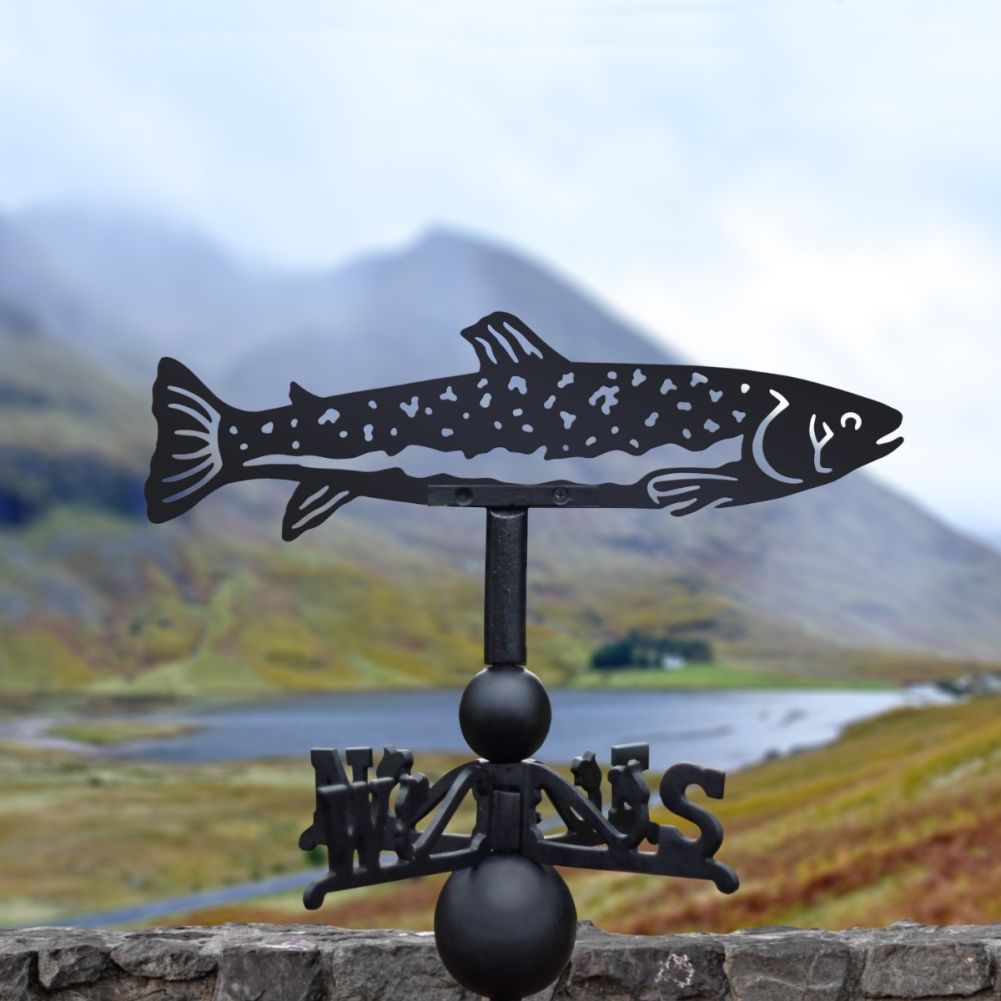 Cast Iron & Steel Trout Weathervane In A Valley Setting