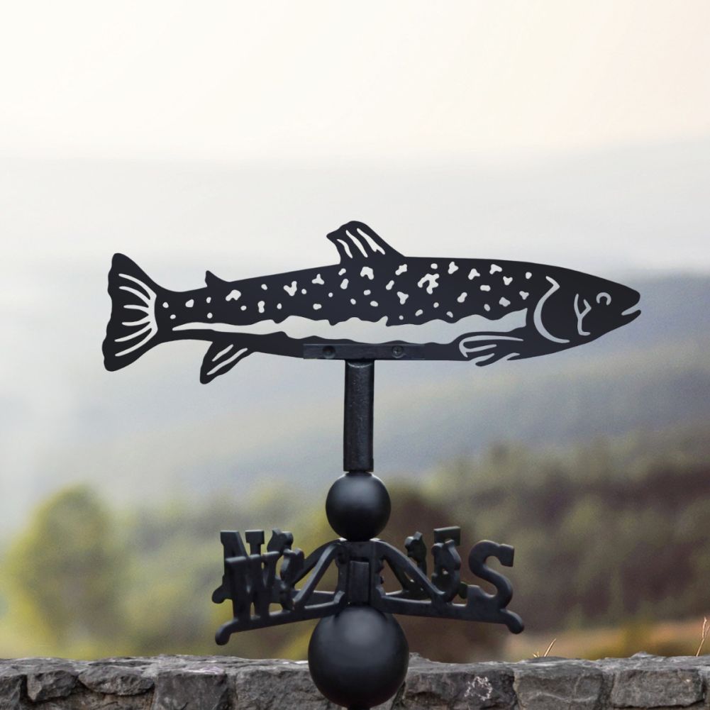 Cast Iron & Steel Trout Weathervane In A Cloudy Setting