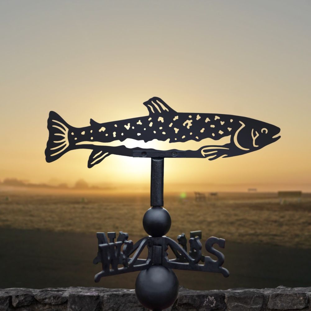 Cast Iron & Steel Trout Weathervane In A Sun Set Setting