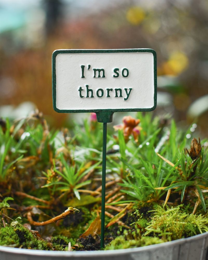 Cast Iron 'Thorny' Humorous Plant Pot Spike