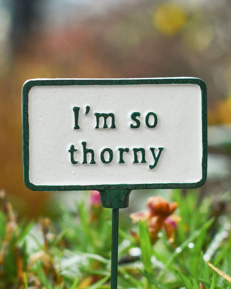 Cast Iron 'Thorny' Humorous Plant Pot Spike Close Up