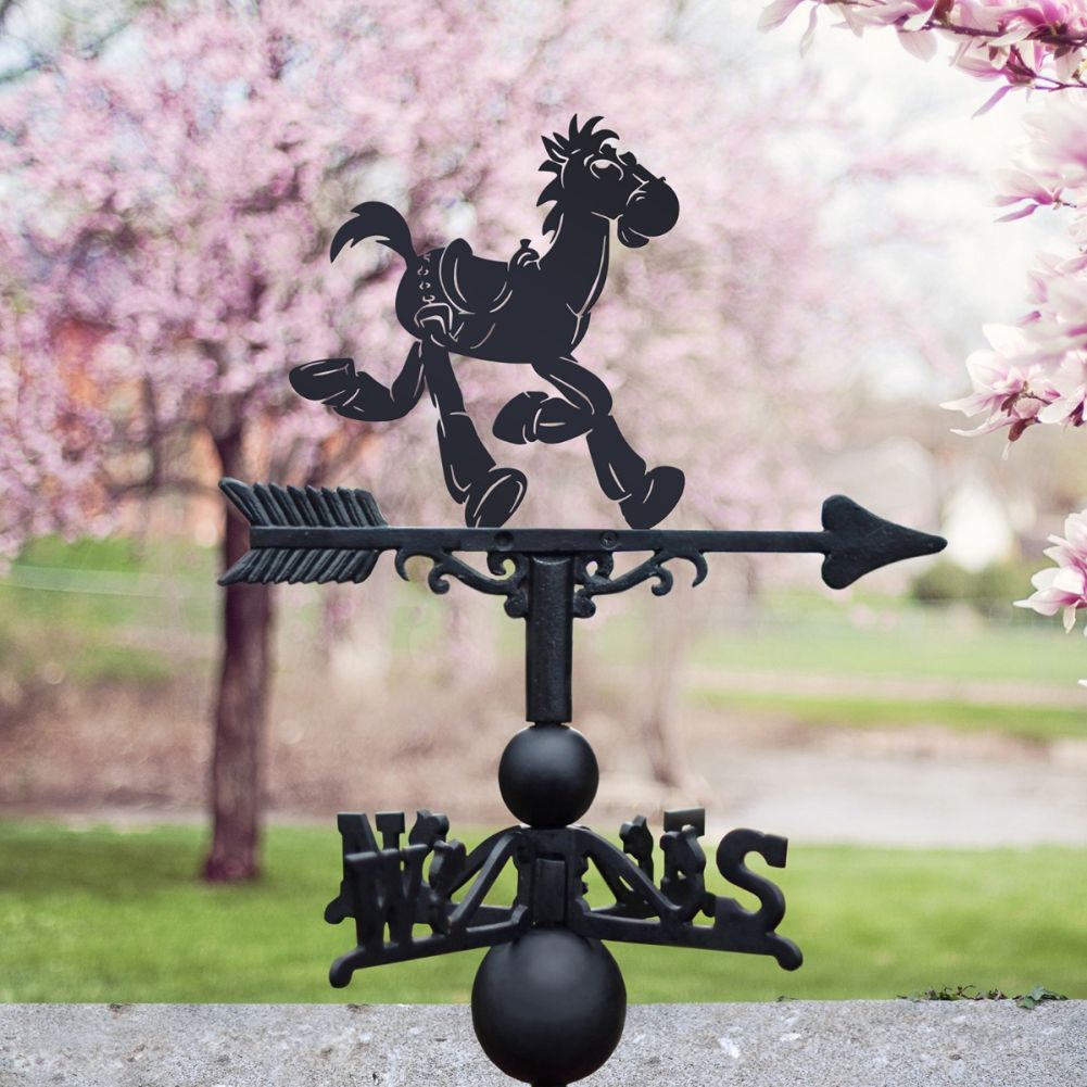 Bullseye cartoon Weathervane