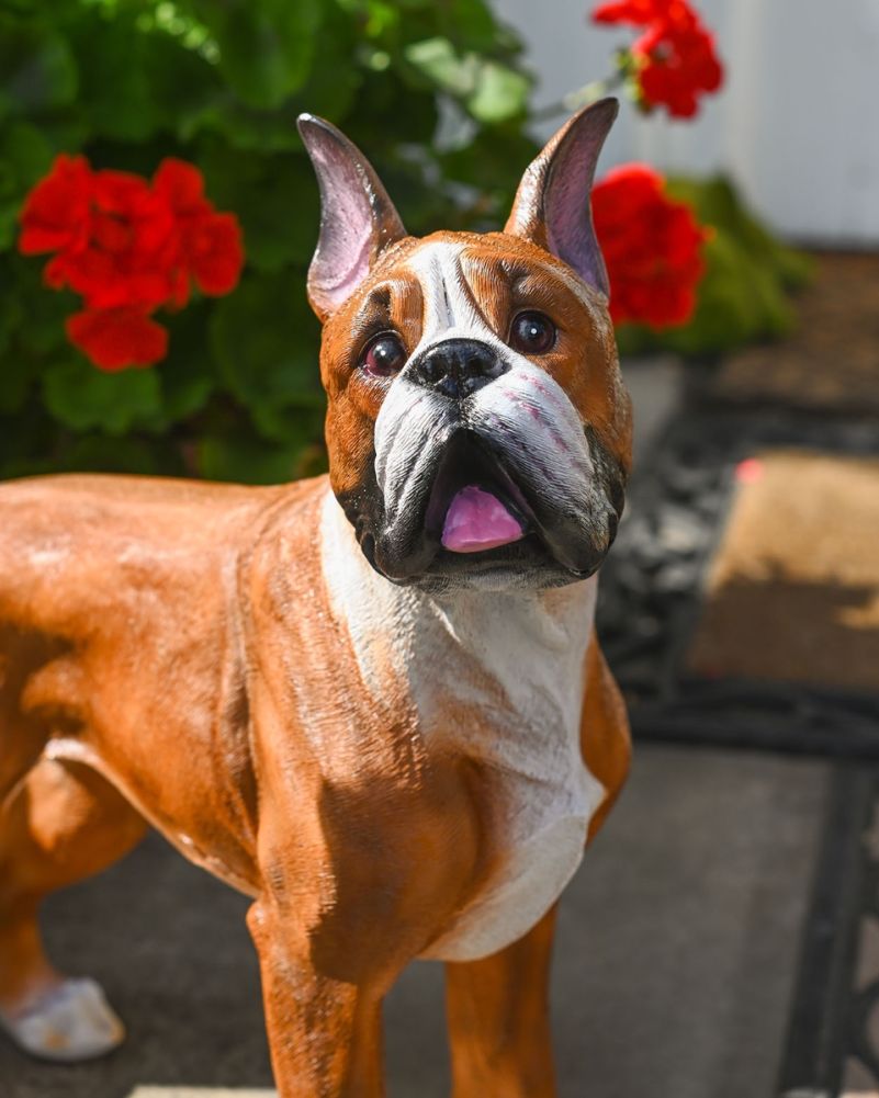 Close Up Of The boxer Dog Garden Sculpture