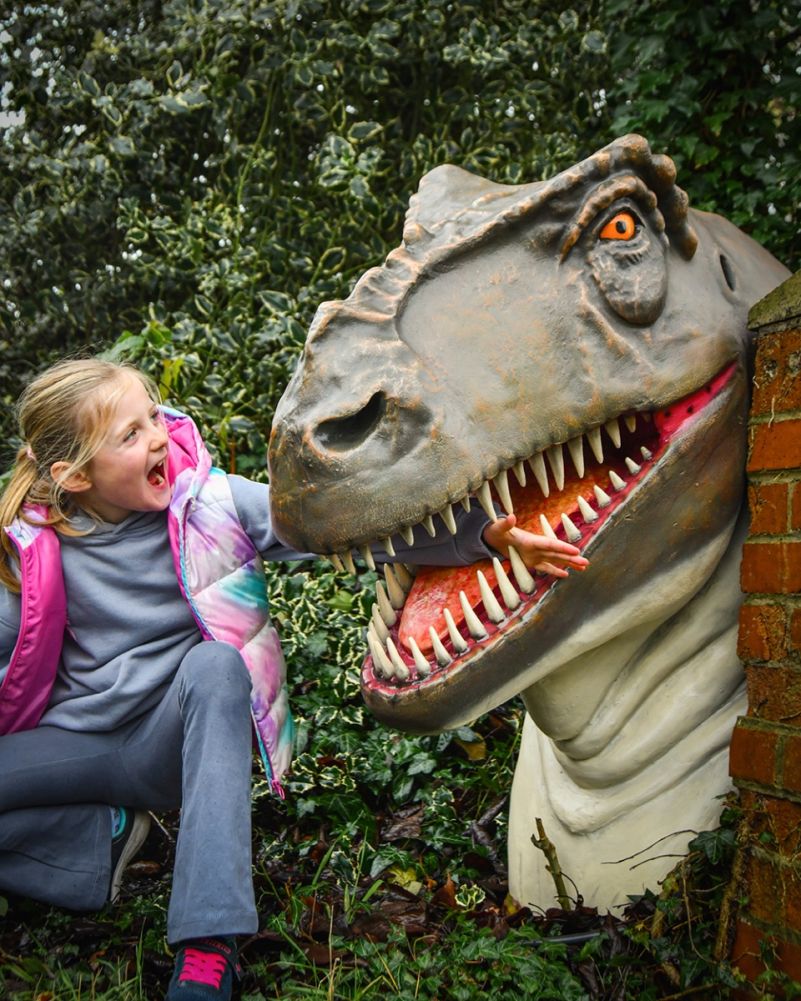 'Chomp' The T-Rex Fibreglass Squirrel Garden Wall Art