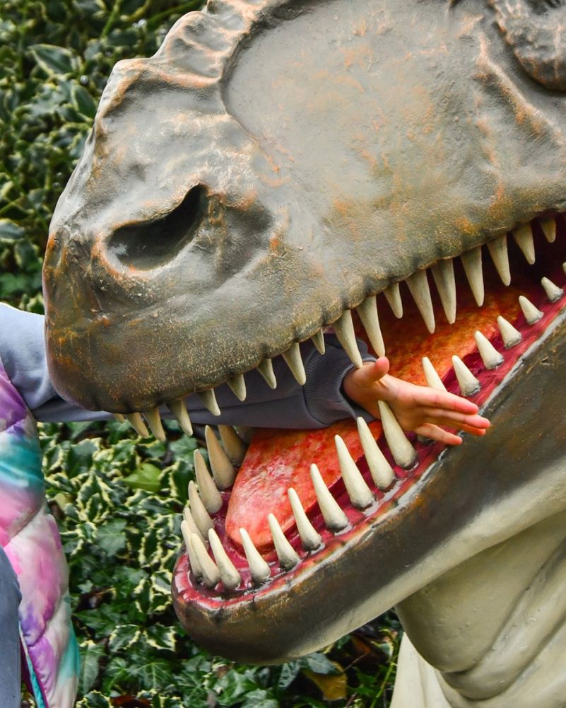 'Chomp' The T-Rex Fibreglass Squirrel Garden Wall Art Close Up