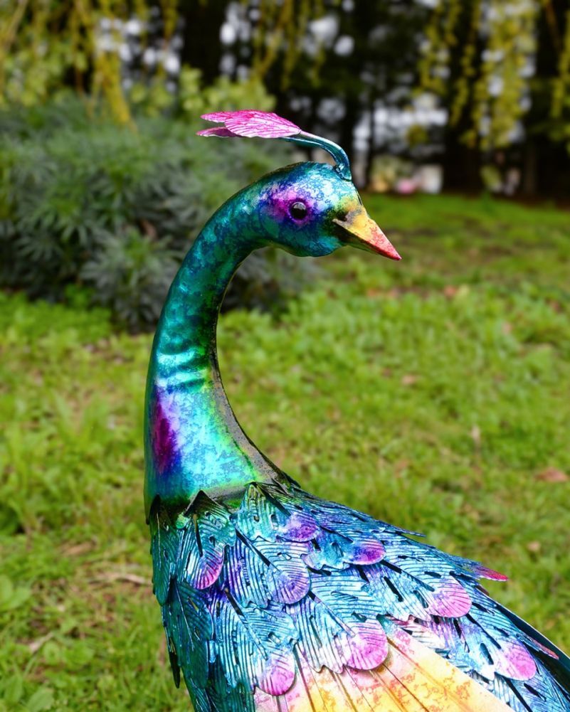 'Argus' The Majestic Peacock Garden Sculptures