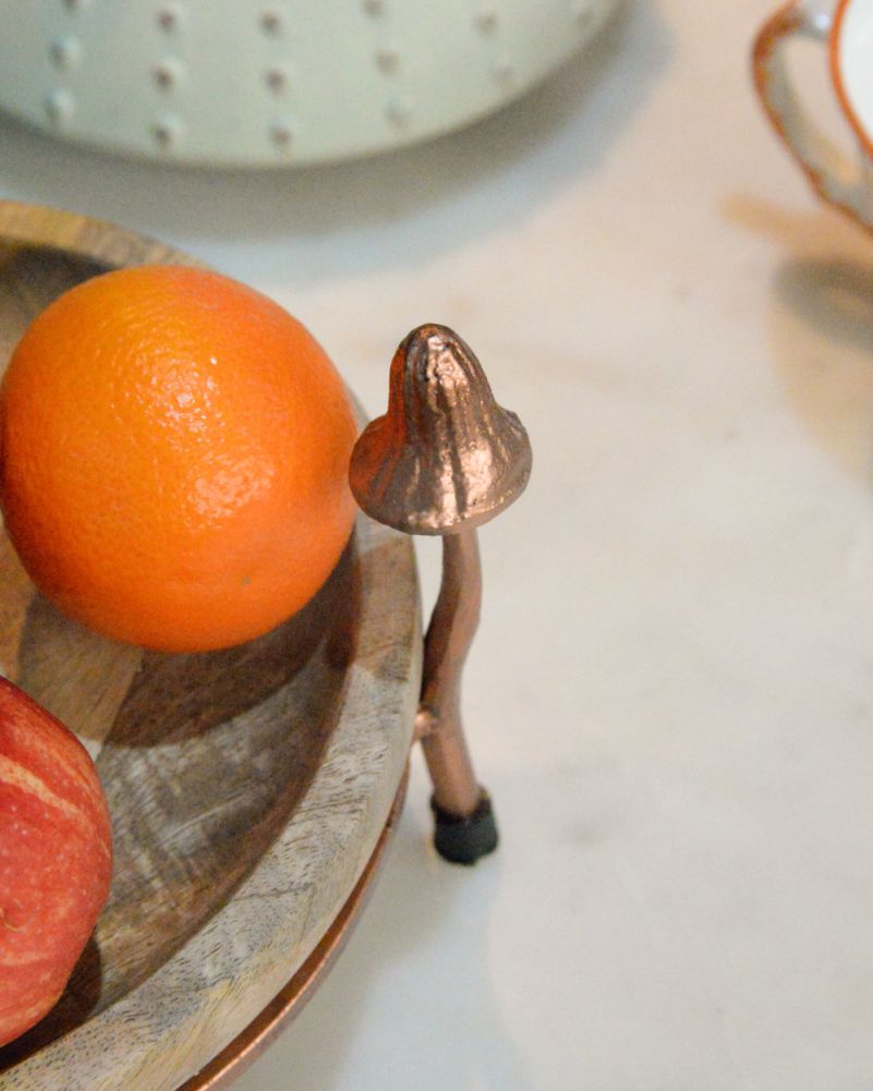 Close Up Of The Small Mango Wood & Metal Copper Toadstool Tray 