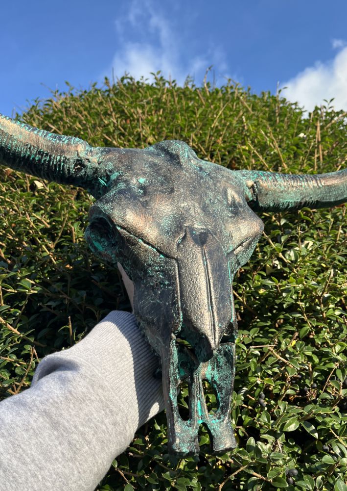 Close Up To The Small Cast Aluminium Bison Skull