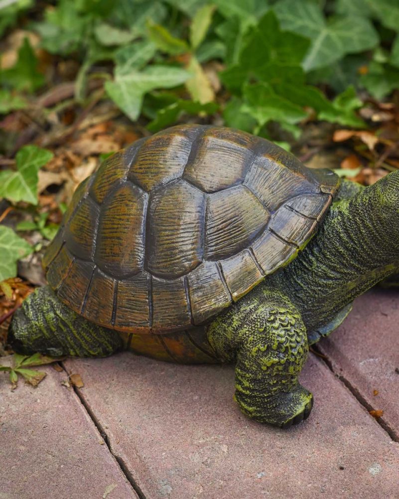 Close Up Of The Small Fibreglass Tortoise Garden Sculpture