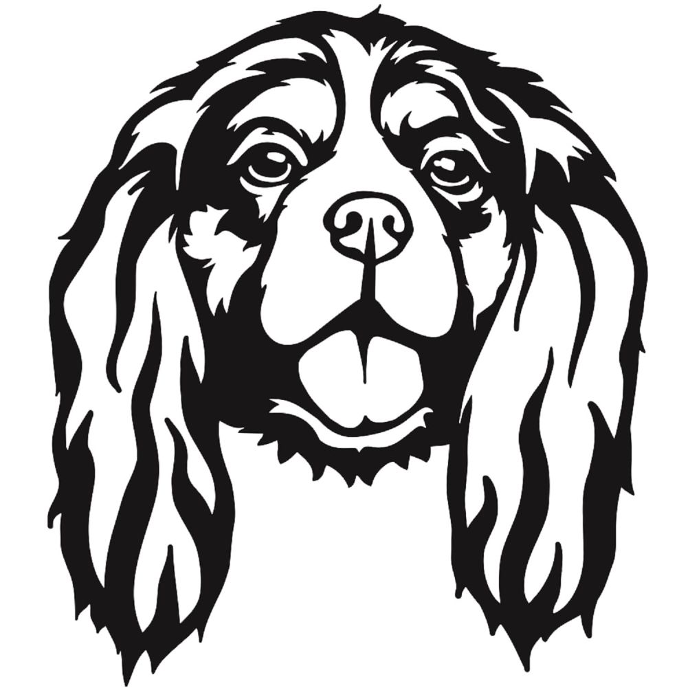 Cavalier King Charles Spaniel Steel Wall Art