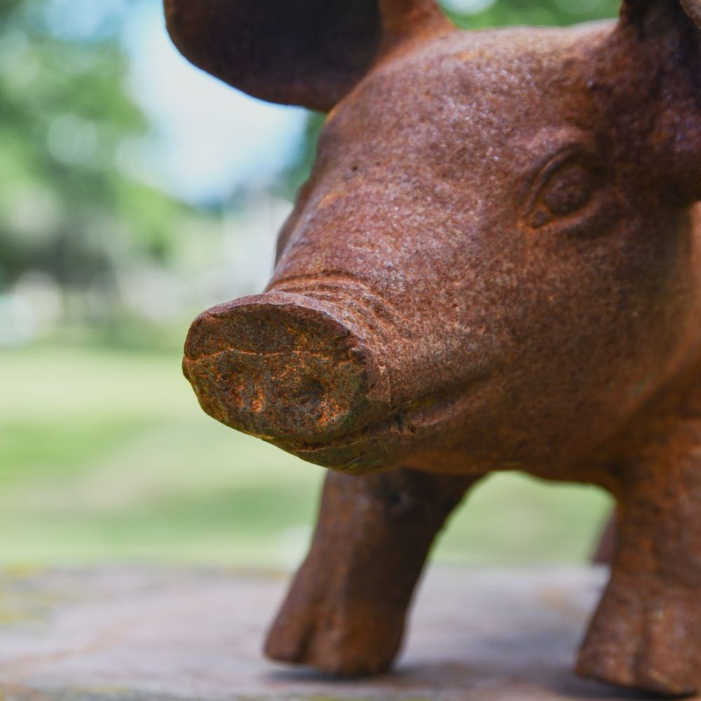 Pig Cast Iron Rustic Sculpture - Large Face Detail