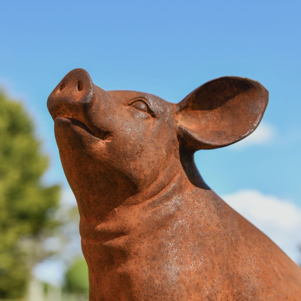 Sitting Pig Cast Iron Rustic Sculpture Face Detail